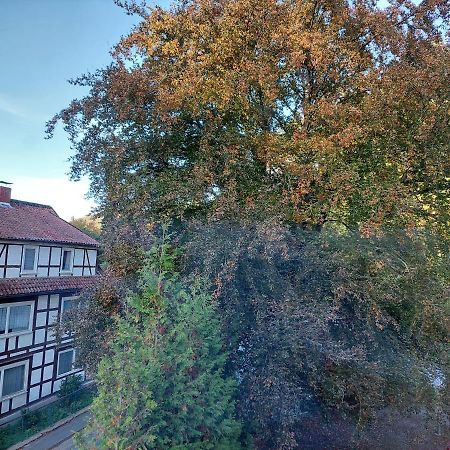 Gemuetliche Ferienwohnung Im Harz Bad Grund Bagian luar foto